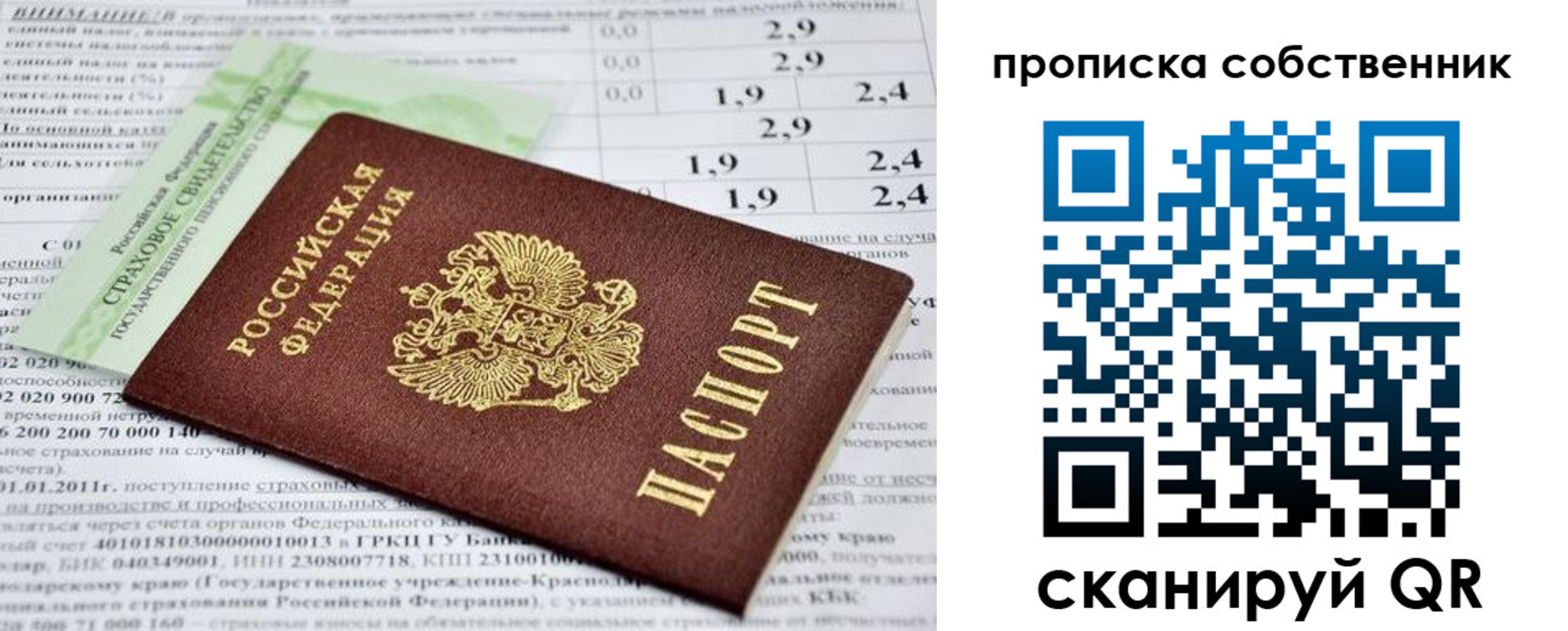 прописка 2025 в Дорогобуже